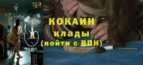 гидра Алексин