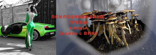 кокс Алзамай